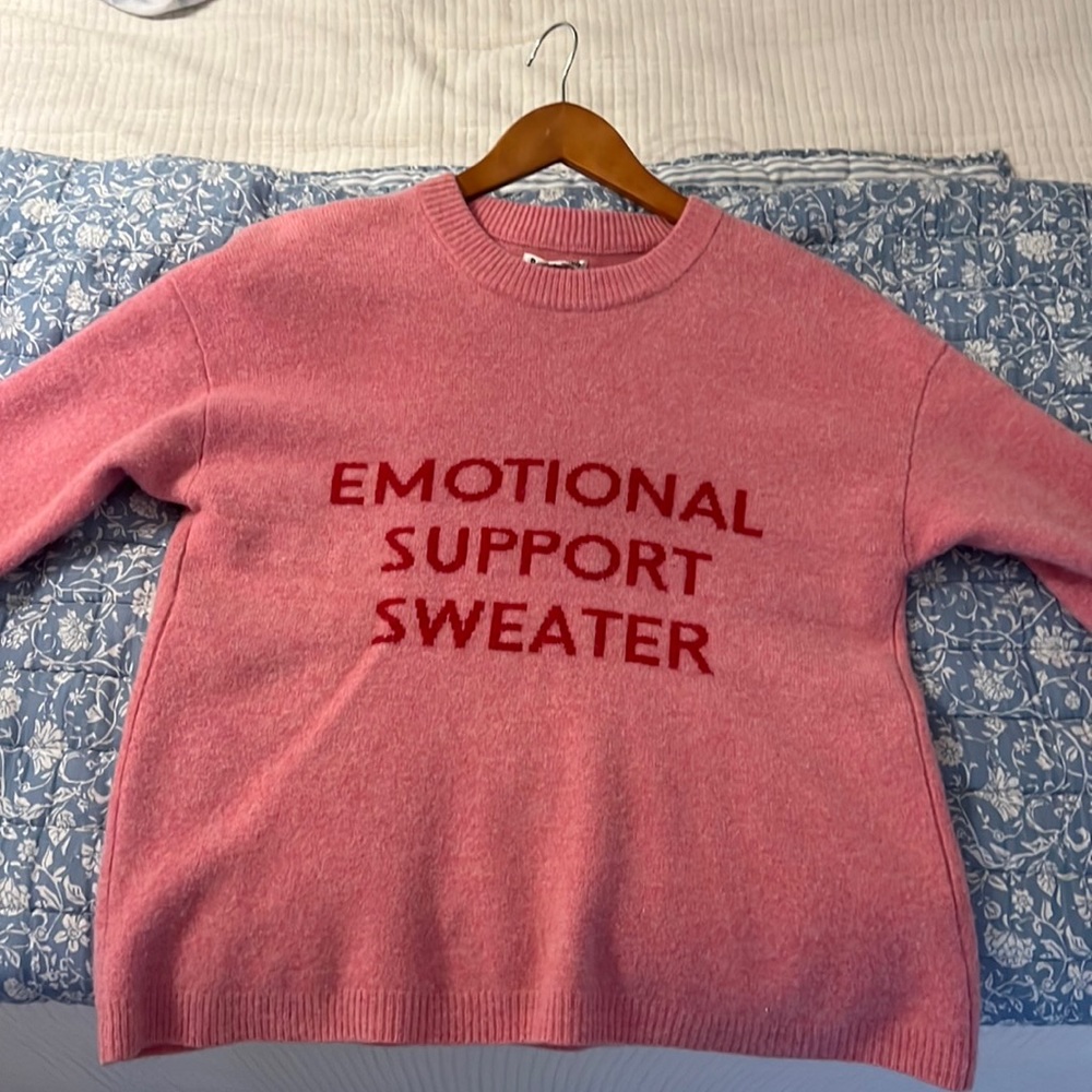 RARE! Emotional Support Sweater by Reformation (100% Merino Wool — non-intchy)
